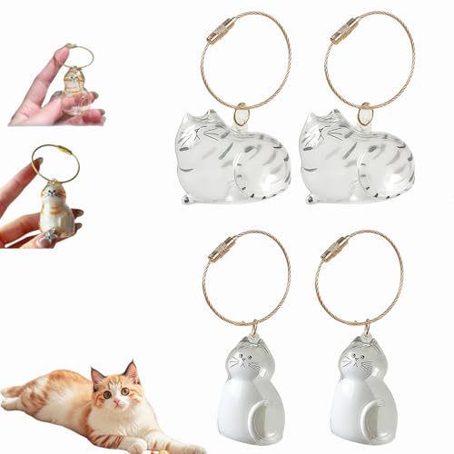 Katzenhaar-Schlüsselanhänger, Katzenhaar-Aufbewahrungsflasche, Tierhaar-Gedenkflasche, Schlüsselanhänger zum Sammeln von Katzen- und Hundehaaren, Erinnerungsgeschenke für Katzenliebhaber (H-4Stück) Katzenhaar-Schlüsselanhänger, Katzenhaar-Aufbewahrungsflasche, Tierhaar-Gedenkflasche, Schlüsselanhänger zum Sammeln von Katzen- und Hundehaaren, Erinnerungsgeschenke für Katzenliebhaber (H-4Stück) von Dewppxi