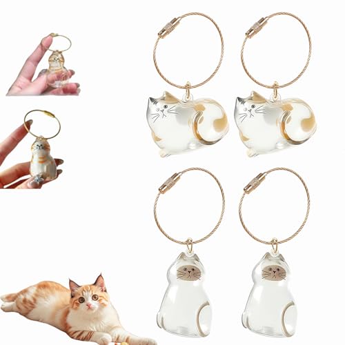Katzenhaar-Schlüsselanhänger, Katzenhaar-Aufbewahrungsflasche, Tierhaar-Gedenkflasche, Schlüsselanhänger zum Sammeln von Katzen- und Hundehaaren, Erinnerungsgeschenke für Katzenliebhaber (I-4Stück) Katzenhaar-Schlüsselanhänger, Katzenhaar-Aufbewahrungsflasche, Tierhaar-Gedenkflasche, Schlüsselanhänger zum Sammeln von Katzen- und Hundehaaren, Erinnerungsgeschenke für Katzenliebhaber (I-4Stück) von Dewppxi
