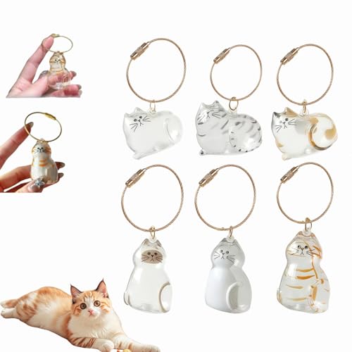 Katzenhaar-Schlüsselanhänger, Katzenhaar-Aufbewahrungsflasche, Tierhaar-Gedenkflasche, Schlüsselanhänger zum Sammeln von Katzen- und Hundehaaren, Erinnerungsgeschenke für Katzenliebhaber (Mix-6Stück) Katzenhaar-Schlüsselanhänger, Katzenhaar-Aufbewahrungsflasche, Tierhaar-Gedenkflasche, Schlüsselanhänger zum Sammeln von Katzen- und Hundehaaren, Erinnerungsgeschenke für Katzenliebhaber (Mix-6Stück) von Dewppxi