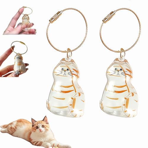 Katzenhaar-Schlüsselanhänger,Cat Hair Keychain,Katzenhaar-Aufbewahrungsflasche,Katzen Schlüsselanhänger zum Sammeln, Katzen Andenkenbox Anhänger, Erinnerungsgeschenke für Katzenliebhaber (A-2Stück) von Dewppxi