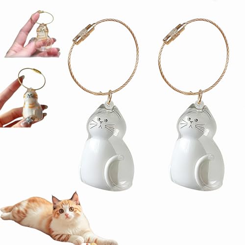 Katzenhaar-Schlüsselanhänger,Cat Hair Keychain,Katzenhaar-Aufbewahrungsflasche,Katzen Schlüsselanhänger zum Sammeln, Katzen Andenkenbox Anhänger, Erinnerungsgeschenke für Katzenliebhaber (B-2Stück) von Dewppxi