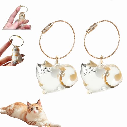 Katzenhaar-Schlüsselanhänger,Cat Hair Keychain,Katzenhaar-Aufbewahrungsflasche,Katzen Schlüsselanhänger zum Sammeln, Katzen Andenkenbox Anhänger, Erinnerungsgeschenke für Katzenliebhaber (D-2Stück) von Dewppxi