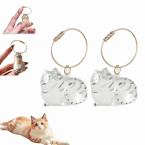 Katzenhaar-Schlüsselanhänger,Cat Hair Keychain,Katzenhaar-Aufbewahrungsflasche,Katzen Schlüsselanhänger zum Sammeln, Katzen Andenkenbox Anhänger, Erinnerungsgeschenke für Katzenliebhaber (E-2Stück) von Dewppxi