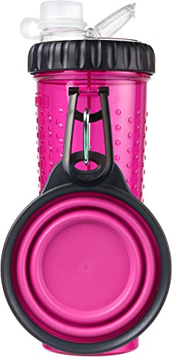 Dexas 39445/463 Popware Snack Duo Dual Chambered Hydration Bottle & Snack Container with Collapsible Pet Cup, Pink by von Dexas