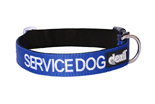 Diensthund blau farbcodiert S M L XL Hundehalsbänder verhindert Unfälle durch andere im Voraus warnen (Klein-Medium 25-43 cm ) von Dexil