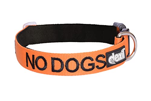 Keine Hunde orange Farbe codiert S M L XL Hundehalsbänder verhindert Unfälle durch andere im Voraus warnen ( Groß XLarge 38-64cm ) von Dexil