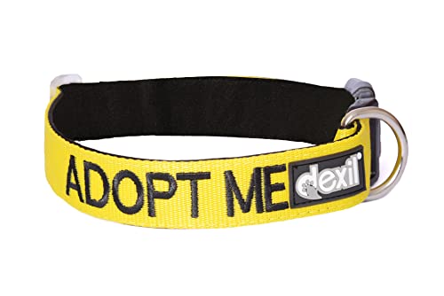 Nehmen Sie mich an gelbe Farbe Coded S M L XL Hundehalsbänder auf Ihre lokale wohltätige Zwecke spenden (Klein-Medium 25-43 cm ) von Dexil