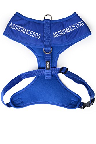 ASSISTANCE DOG Hundegeschirr mit D-Ring, gepolstert, wasserdicht, farbkodiert, verhindert Unfälle, indem andere Ihres Hundes im Voraus gewarnt werden, Größe M von Dexil