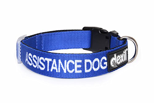 Assistance Dog Hundehalsband, farbkodiert, Größen S / M / L / XL, verhindert Unfälle durch Warnung anderer Hunde im Voraus (L-XL) von Dexil