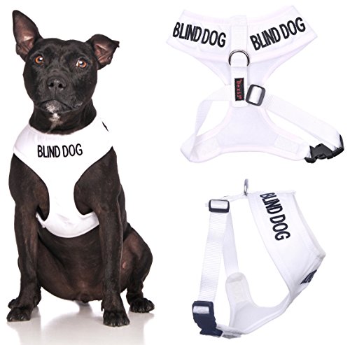Blind Dog (Hund Hat Limited/keine Sight) weiß Farbe Kodiert non-pull Vorder- und Rückseite D-Ring gepolstert und wasserdicht Weste Hundegeschirr verhindert Unfälle durch vorwarnen anderer Hunde in Advance (Medium Hals bis zu 40 cm Brust 48-72cm) von Dexil