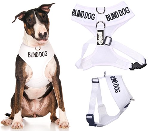 Blind Dog (Hund Hat Limited/keine Sight) weiß Farbe Kodiert non-pull Vorder- und Rückseite D-Ring gepolstert und wasserdicht Weste Hundegeschirr verhindert Unfälle durch vorwarnen anderer Hunde in Advance (große Hals bis 43cm Brust 48-72cm) von Dexil