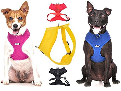 Dexil Elite Range Hundegeschirr, gepolstert, wasserfest, verstellbar, Ring hinten und vorne (zum Vermeiden von Ziehen) von Dexil