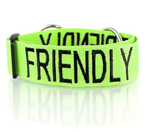 Friendly Grün-Farbcode Nylon breiter großer L-XXL Halb Choke Hundehalsband (Bekannt als Freundlich) verhindert that Unfälle, sterben DURCH Über Andere Ihres Hundes im Voraus von Dexil