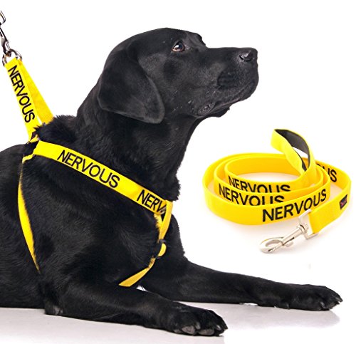 " Nervös" Yellow Farbkodiertes Nylon Nicht Ziehen Hunde Große L-XL Harness & gepolstert Griff 1.2m Leine Set (Give Me Space) verhindert Unfälle durch Warnung Sonstige Ihren Hund im Voraus! von Dexil