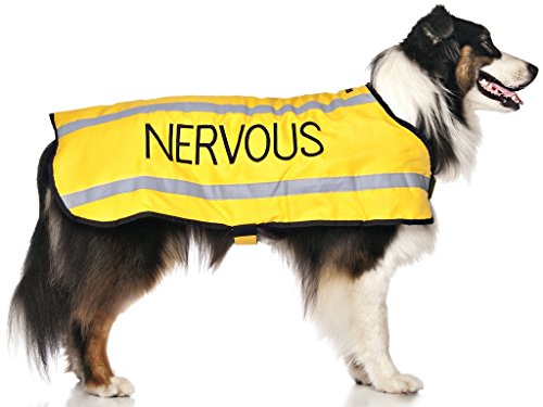 Nervös gelbe Farbe Coded S M L reflektierende wasserdichte Fleece gefüttert warme Hundemäntel verhindert Unfälle durch andere im Voraus warnen (Medium Brust 46-76cm Rückenlänge 43cm) von Dexil