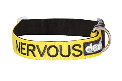 Nervous (Give Me Space) Hundehalsband, gelb, farbcodiert, S-M, L-XL, verhindert Unfälle, indem andere Ihres Hundes im Voraus gewarnt Werden (L-XL) von Dexil