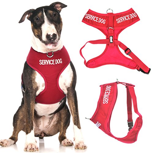SERVICE DOG Hundegeschirr mit D-Ring, gepolstert und wasserdicht, verhindert Unfälle, indem andere Ihres Hundes im Voraus gewarnt werden, Größe L, Rot von Dexil