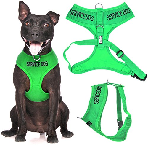 SERVICE DOG Hundegeschirr mit D-Ring, gepolstert und wasserdicht, verhindert Unfälle, indem andere Ihres Hundes im Voraus gewarnt werden, Grün von Dexil