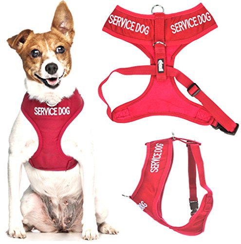 SERVICE DOG Hundegeschirr mit D-Ring, gepolstert und wasserdicht, verhindert Unfälle, indem andere Ihres Hundes im Voraus gewarnt werden, Rot von Dexil