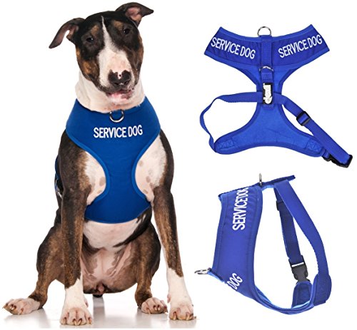 Service Hund (Do Not Disturb/Hund ist Arbeiten) blau Farbe Kodiert non-pull Vorder- und Rückseite D-Ring gepolstert und wasserdicht Weste Hundegeschirr verhindert Unfälle durch vorwarnen anderer Hunde in Advance (große Hals bis 43cm Brust 48-72cm) von Dexil