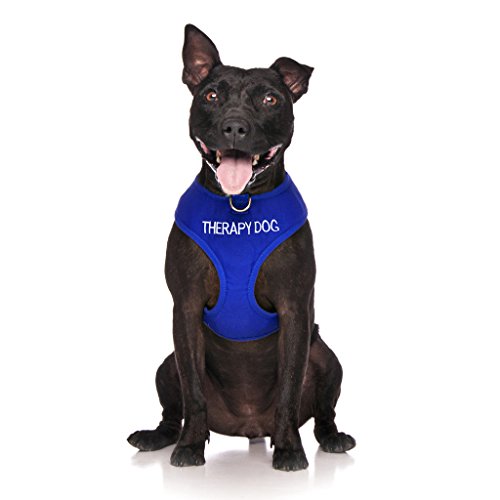 Therapie Hund blau Farbe Kodiert non-pull Vorder- und Rückseite D-Ring gepolstert und wasserdicht Weste Hundegeschirr verhindert Unfälle durch vorwarnen anderer Hunde in Advance Therapie Hund blau Farbe Kodiert non-pull Vorder- und Rückseite D-Ring gepolstert und wasserdicht Weste Hundegeschirr verhindert Unfälle durch vorwarnen anderer Hunde in Advance von Dexil