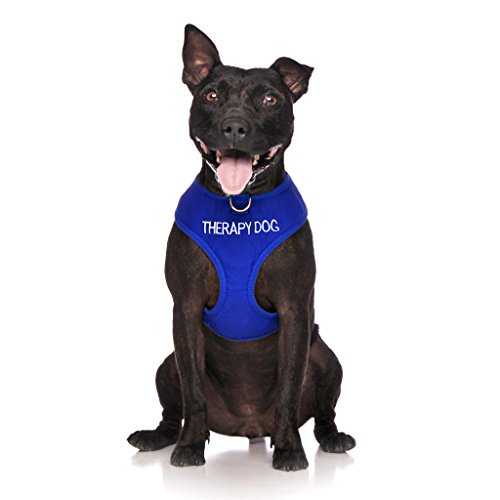 Therapie Hund blau Farbe Kodiert non-pull Vorder- und Rückseite D-Ring gepolstert und wasserdicht Weste Hundegeschirr verhindert Unfälle durch vorwarnen anderer Hunde in Advance von Dexil