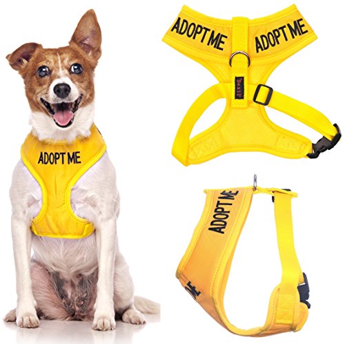 adoptieren mich gelbe farbcodierte nicht Pull Front und Rücken gepolstert D-Ring und wasserdichte Weste Hundegeschirr verhindert Unfälle warnen von anderen Hunden im Voraus (Medium Hals bis zu 40 cm Brust 48-72cm) adoptieren mich gelbe farbcodierte nicht Pull Front und Rücken gepolstert D-Ring und wasserdichte Weste Hundegeschirr verhindert Unfälle warnen von anderen Hunden im Voraus (Medium Hals bis zu 40 cm Brust 48-72cm) von Dexil