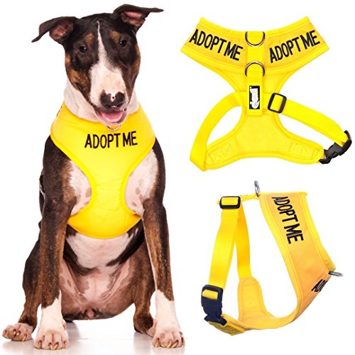 adoptieren mich gelbe farbcodierte nicht Pull Front und Rücken gepolstert D-Ring und wasserdichte Weste Hundegeschirr verhindert Unfälle warnen von anderen Hunden im Voraus (große Hals bis 43cm Brust 48-72cm) von Dexil