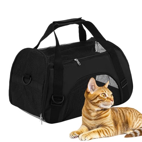 Dfstvup Kleine Hundetransporttasche - Katzentragebox,Atmungsaktive Multifunktionstasche für Reisen, Spaziergänge, Wandern, Camping & Outdooraktivitäten Dfstvup Kleine Hundetransporttasche - Katzentragebox,Atmungsaktive Multifunktionstasche für Reisen, Spaziergänge, Wandern, Camping & Outdooraktivitäten von Dfstvup