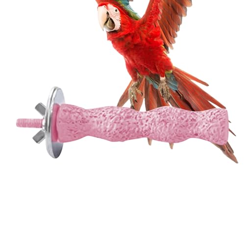Dfstvup Vogelkäfig Ständer Für Haustiere | Sitzstangen-Ständer Für Vogelkäfig | Trainingsübungen, Spielzeug & Krallenpflege Für Kleine Budgies, Sittiche, Unzertrennliche Und Sperlingspapageien von Dfstvup