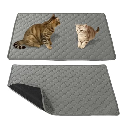 Dgayaeic Haustier PIPI Unterlagen, Wiederverwendbare Hunde Katzen Toilettenmatte, Auslaufsicher 50x60 cm Schutzunterlage Für Urin Von Mittelkleinen Welpen Und Katzen Im Käfig Schlafen Training von Dgayaeic