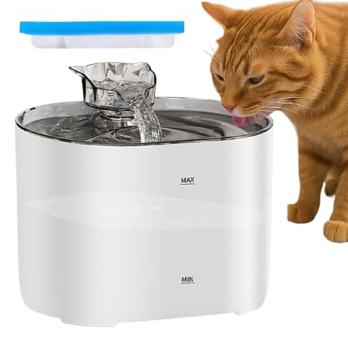 Dgayaeic Haustier Trinkbrunnen - Automatischer Wasserspender Mit Filtration Für Katzen - Leise Trinknapf Automat für Mehrere Haustiere wie Hunde und Katzen für Zuhause Dgayaeic Haustier Trinkbrunnen - Automatischer Wasserspender Mit Filtration Für Katzen - Leise Trinknapf Automat für Mehrere Haustiere wie Hunde und Katzen für Zuhause von Dgayaeic