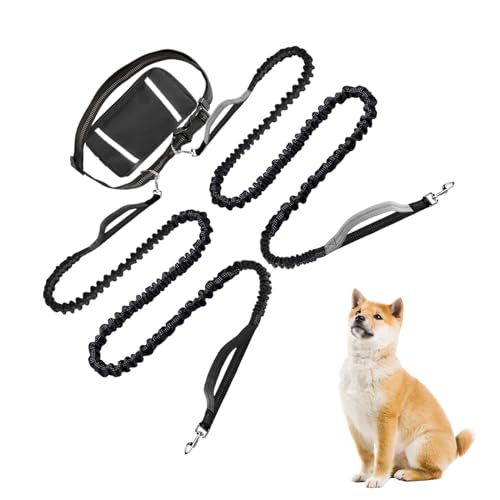 Dgayaeic Hundeleine Mit Reflektierendem Seil,Laufleine Mit Praktischer Hüfttasche - Reflektierendes Verstellbares Hundeseil Für Wanderungen Camping Outdoor Reisen Und Urbanes Dgayaeic Hundeleine Mit Reflektierendem Seil,Laufleine Mit Praktischer Hüfttasche - Reflektierendes Verstellbares Hundeseil Für Wanderungen Camping Outdoor Reisen Und Urbanes von Dgayaeic