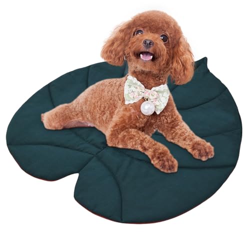 Dgayaeic Hundematte | Blattförmige Bettmatratze – weiche, gemütliche Unterlage, Matratzenschoner für Bett, Sofa, Bodenstuhl, Innenbereich, Reisen, Auto, Welpen von Dgayaeic