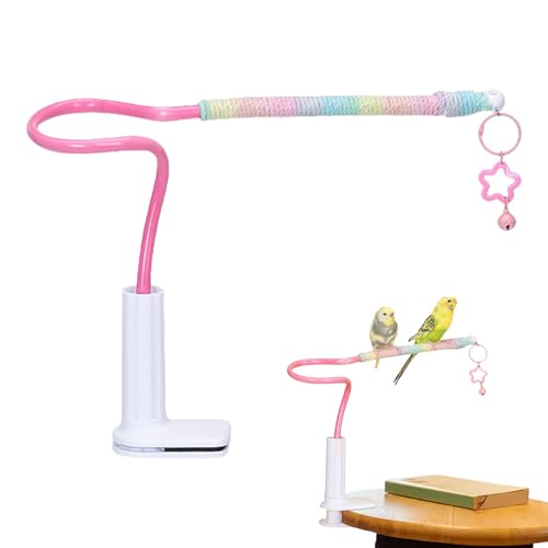 Dgayaeic Vogel Sitzstange Stand - Spielständer Mit Glocke,Nymphensittich Spielzeug mit Glocke, rutschfeste Trainingsaccessoires für Wellensittichkäfig & Innenspielbereich Dgayaeic Vogel Sitzstange Stand - Spielständer Mit Glocke,Nymphensittich Spielzeug mit Glocke, rutschfeste Trainingsaccessoires für Wellensittichkäfig & Innenspielbereich von Dgayaeic