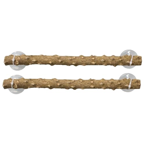 Reptile Vines, Bearded Dragon Tank Accessories, Reptile Plants Artificial Jungle Climbing Vine, Reptile Climbing Branch with Suction Cups Transforms Habitat Beauty Reptile-Friendly Climbing for Gecko von Dgayaeic