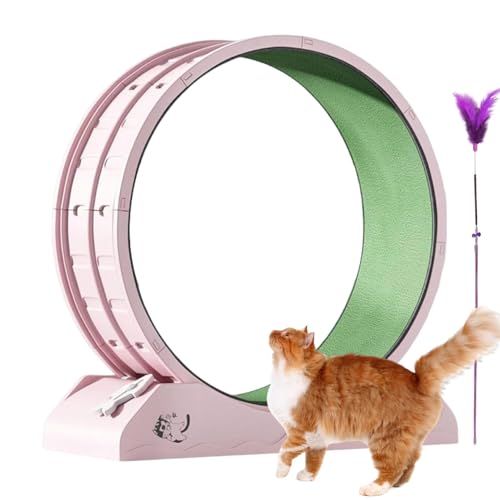 Katzen-Trainingsrad, Kätzchen-Radtrainer, Haustier-Übung, Laufspielzeug, Spaß und Sicherheit zu verwenden, kann lange verwendet werden, nicht leicht zu brechen, 80 cm für Katzen Katzen-Trainingsrad, Kätzchen-Radtrainer, Haustier-Übung, Laufspielzeug, Spaß und Sicherheit zu verwenden, kann lange verwendet werden, nicht leicht zu brechen, 80 cm für Katzen von Dgkdek