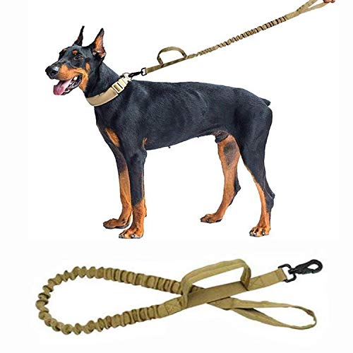 Hundeleine 1,5 m Trainingsleine für Hunde, Hundeleine mit weich gepolstertem Griff alle Hunde bis 50 kg verstellbar, robust und wetterfest, Coyote braun Hundeleine 1,5 m Trainingsleine für Hunde, Hundeleine mit weich gepolstertem Griff alle Hunde bis 50 kg verstellbar, robust und wetterfest, Coyote braun von Dhohoo