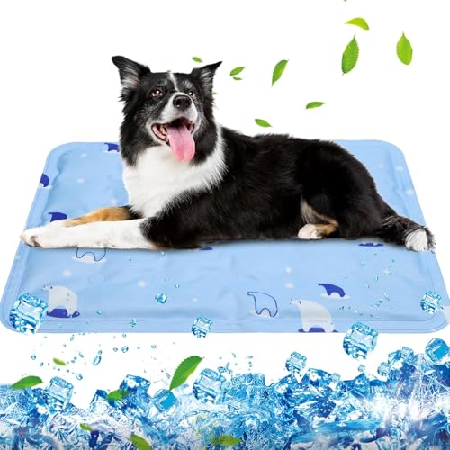 Dhqkqg kühlmatte für Hunde, kühlmatte für Hunde selbstkühlend Dhqkqg kühlmatte für Hunde, kühlmatte für Hunde selbstkühlend von Dhqkqg