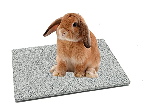 DiConcetto Kratzstein/Pflegestein sowie Kühlplatte/Klimastein aus Granit für Hamster, Meerschweinchen, Hasen und weitere Nager (30 x 20 x 1, Hell) von DiConcetto