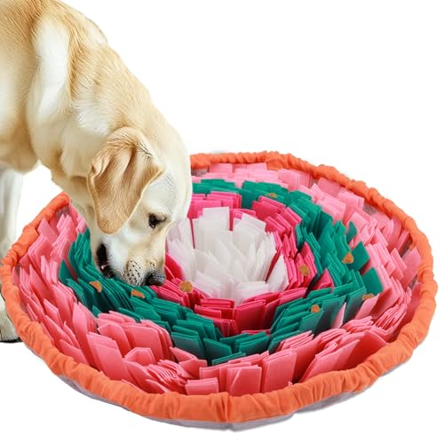 DiDiBirDi Schnüffelmatte für Hunde, 2 mm dick, interaktives Spielzeug für Haustiere, 45 x 45 cm, Nasentrainingsmatten, Katzennapf, Reisenutzung, fördert natürliche Futtersuchfähigkeiten, angenehme von DiDiBirDi