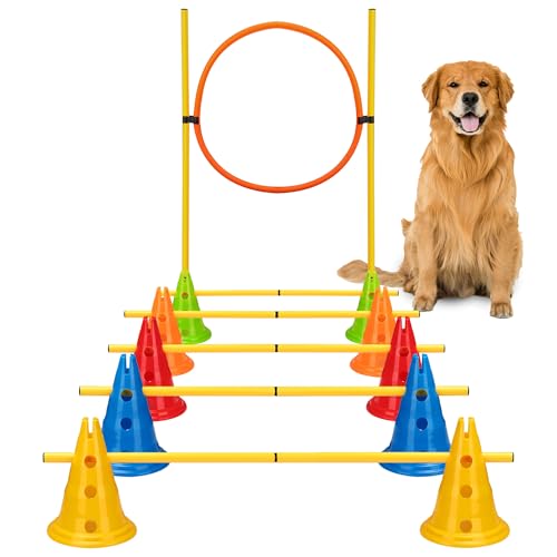 DiDiBirDi Tragbares Agility-Trainingsset für Hunde mit 10 verstellbaren Kegeln, 5 Sprungstangen und Reifen – Hindernislauf im Hinterhof für Welpen bis erwachsene Hunde DiDiBirDi Tragbares Agility-Trainingsset für Hunde mit 10 verstellbaren Kegeln, 5 Sprungstangen und Reifen – Hindernislauf im Hinterhof für Welpen bis erwachsene Hunde von DiDiBirDi
