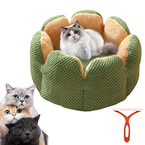 Diameleo Bequemes Haustierbett in Kaktusform, Kaktusblüten-Haustierbett, Kaktus-Haustierbett, rundes Kuschel-Katzenbett für große Katzen (groß, grün) von Diameleo