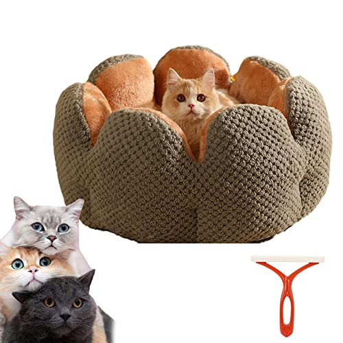 Diameleo Bequemes Haustierbett in Kaktusform, Kaktusblütenblatt, Kaktus-Haustierbett, rundes Kuschel-Katzenbett für große Katzen (klein, grau) von Diameleo