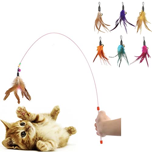 Diawell Katzenangel mit Glocke Angel Spielangel für Katzen Katzenspielzeug Katze Spielzeug (Angel+6xErsatzfeder) von Diawell