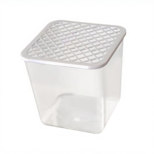 Dickly Desktop Tank Transparent Moderne Dekorative Kleine Schüssel Aquarium Starter Kit für Kleine Es Pflanzen Terrarium Schildkröte Dickly Desktop Tank Transparent Moderne Dekorative Kleine Schüssel Aquarium Starter Kit für Kleine Es Pflanzen Terrarium Schildkröte von Dickly