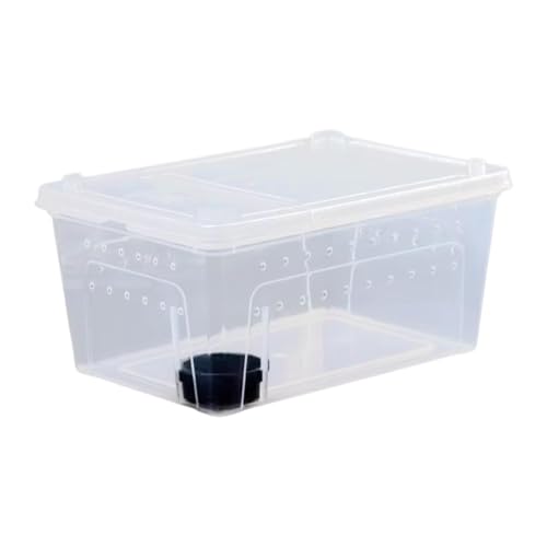 Dickly Reptilien-Futterbox, Brutbox, durchsichtiger Terrarium-Lebensraum, Brutbehälter für Grillen, 32x22x15cmschwarze Dickly Reptilien-Futterbox, Brutbox, durchsichtiger Terrarium-Lebensraum, Brutbehälter für Grillen, 32x22x15cmschwarze von Dickly