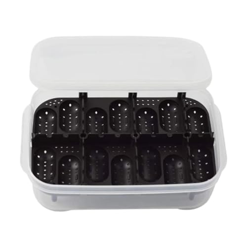 Dickly Reptilien-Zuchtbox, Brutkasten, Brutkasten, Eier- für Bartagamen, Schwarz Dickly Reptilien-Zuchtbox, Brutkasten, Brutkasten, Eier- für Bartagamen, Schwarz von Dickly
