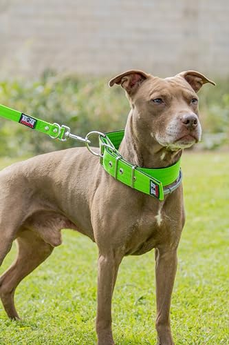 Hundehalsband Nylon (Grün, XL2) von DidiProducts
