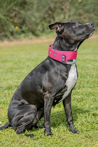 Hundehalsband Nylon (Rosa, S) von DidiProducts